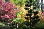 Fall Colors..Photo 2