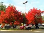 Fall in Calaveras County