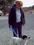 Volunteer dog-walkers are always needed at the Animal Shelter.