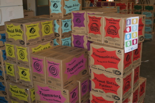 Girl Scouts Cookies 2008
