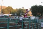 Extreme Rodeo