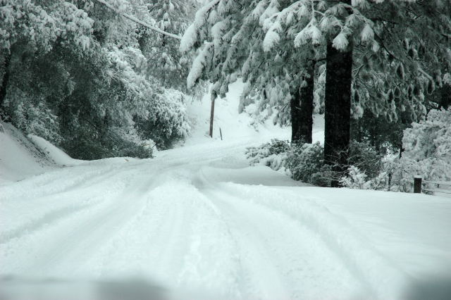 Sheep Ranch Road near Mountain Ranch at about 10am yesterday~by Sue Horine