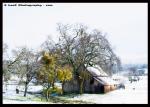 Snowy Barn~by Andrea Silva